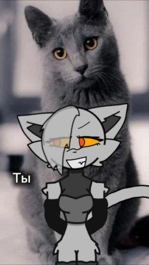 Дует с тобой ﹤3 (pls)