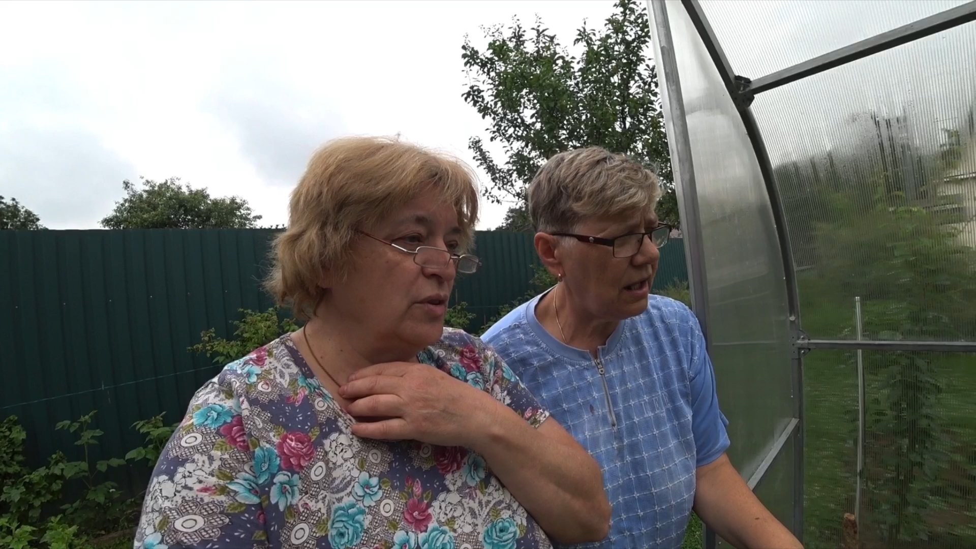 На участке у Любаши. Теплица «Капля». Хочу такую Княженику. Клематис тоже такой хочу 🤣 смотреть онлайн