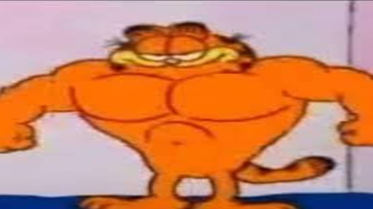 гарфилд мем