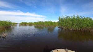 Рыбалка на спиннинг. Река Енисей, разливы...