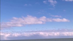 Настрои Сытина на оздоровление  Бахтин Александр