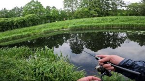 АКТИВНАЯ ЛОВЛЯ ПЛОТВЫ НА ПОПЛАПОПЕР 😏😏😏 #рыбалка