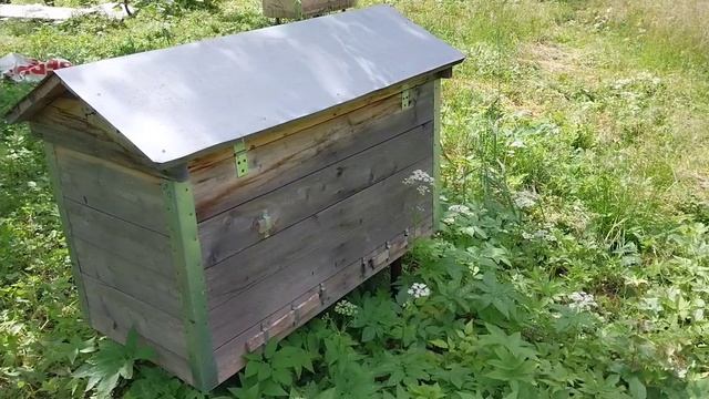 Поймал и заселил рой.