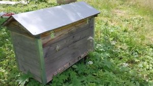 Поймал и заселил рой.