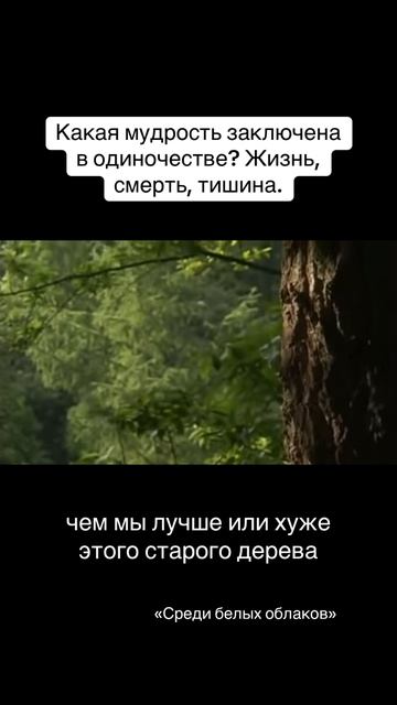 Ясность в тишине ума. Когда ум успокаивается, приходят ответы: кто ты, зачем ты, куда идёшь? смотреть онлайн