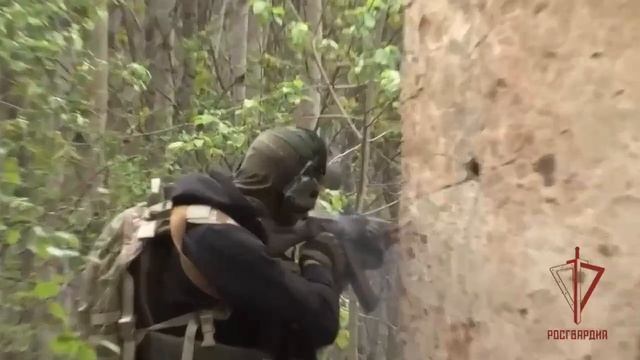 Учения сотрудников ОМОН «Скорпион» и СОБР «Архангел» в Архангельской области. смотреть онлайн