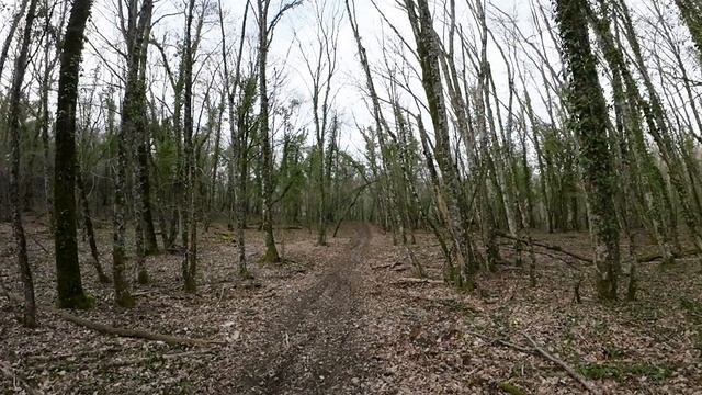 16 03 2025 (10) смотреть онлайн
