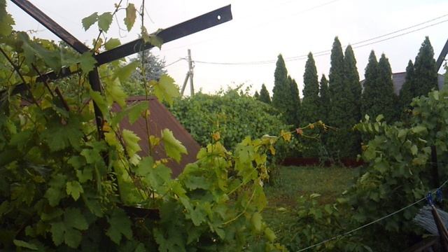 Волгоградская область г. Краснослободск. Настоящий дождь!