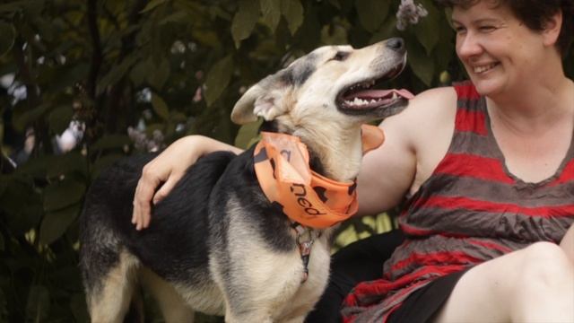 Как прошёл фестиваль «Собаки в городе»? смотреть онлайн