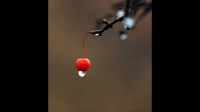 Blues #guitar #blues #bluesrock #guitarist #bluesballads #allblues #guitarsong