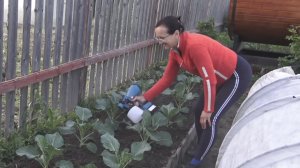 6 соток 17 июня 2025 года. 2 часть