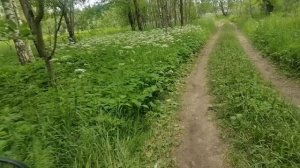 Покатушки на дельте