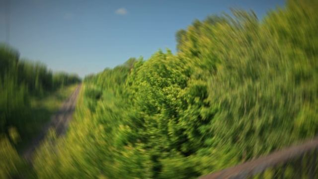ИВАНОВО в гостях смотреть онлайн