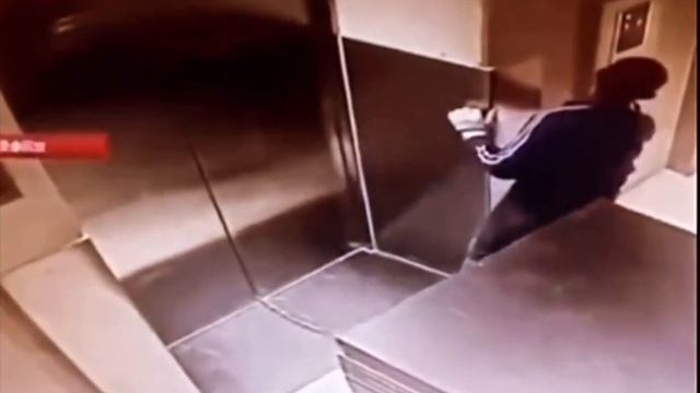 7 ноября 2023 г.