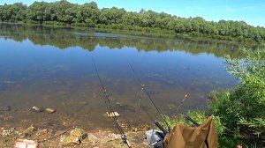 Рыбалка на ЛЕЩА в июне! Рыбалка на донку и фидер! Рыбалка на Оке!