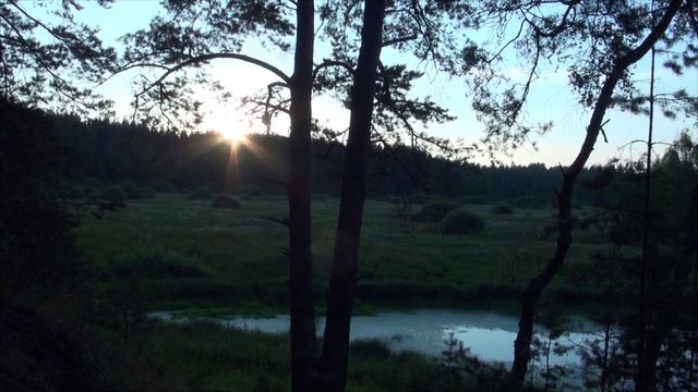 Лета 2020 август Нерская 1