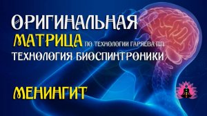 Менингит ⚠️ Оригинальная матрица по технологии Гаряева П.П ☀️ SoftRadio.ru