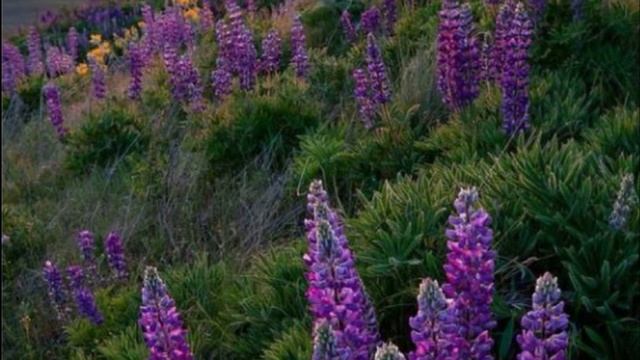 Медитация внутренний ребенок / Исцеление внутреннего ребенка медитация смотреть онлайн