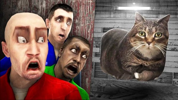 OIIA OIIA! ОИИАИОИИАИ КРУТЯЩИЙСЯ КОТ ОХОТИТСЯ НА НАС! УГАР И БЕЗУМИЕ В Garry`s Mod