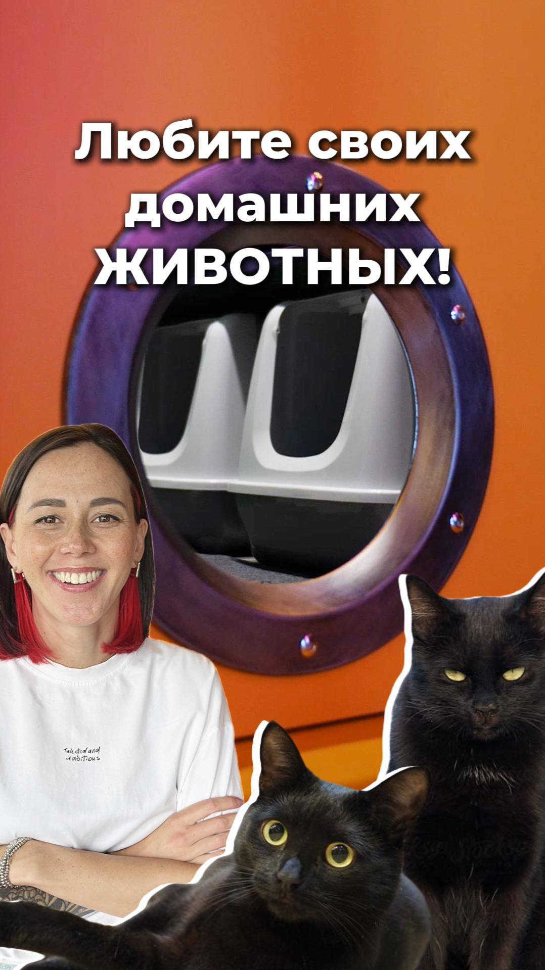 Когда любишь своих КОТИКОВ😽 #дизайнинтерьера смотреть онлайн