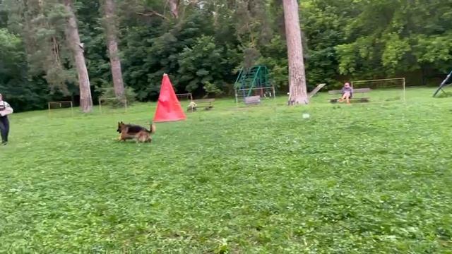 5.  выражено/перв ЛЕЯ ОРГАНА (Ягр с Лесного – Веда из Дома Алисы)