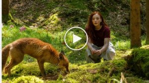 Магия четырёх стихий (2025) & онлайн бесплатно