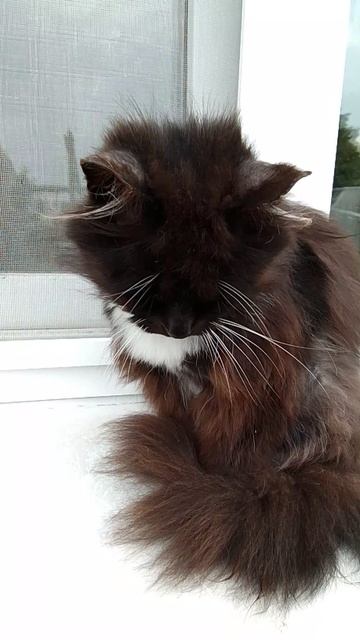 Всем доброе утро.