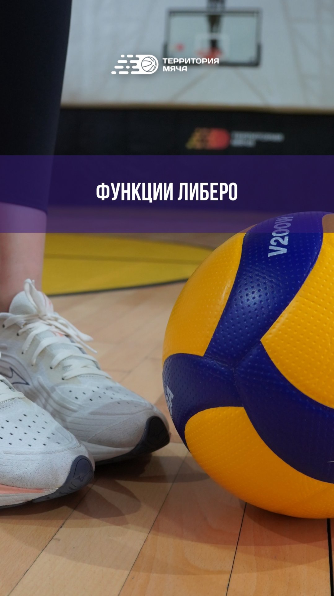 Основные функции либеро на площадке👇 смотреть онлайн