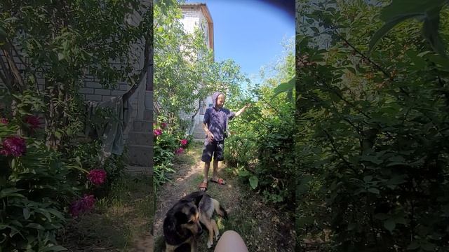 25 год смотреть онлайн