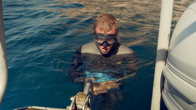 Трейлер к фильму «Он-дельфин». смотреть онлайн