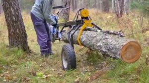 тележка для перемещения бревен в лесу