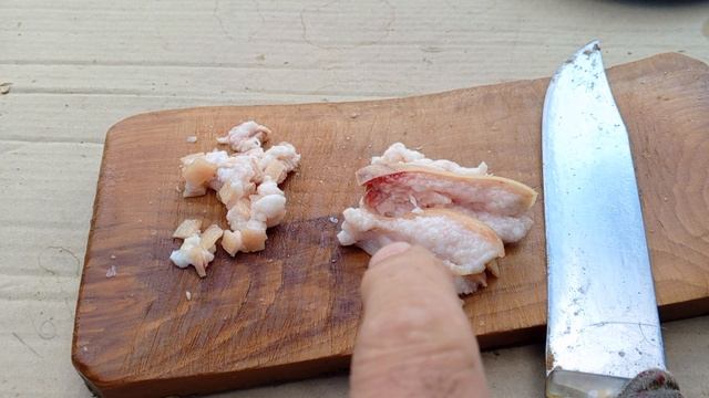 КОШКА БАСЯ ПРИШЛА ПЕРЕКУСИТЬ смотреть онлайн