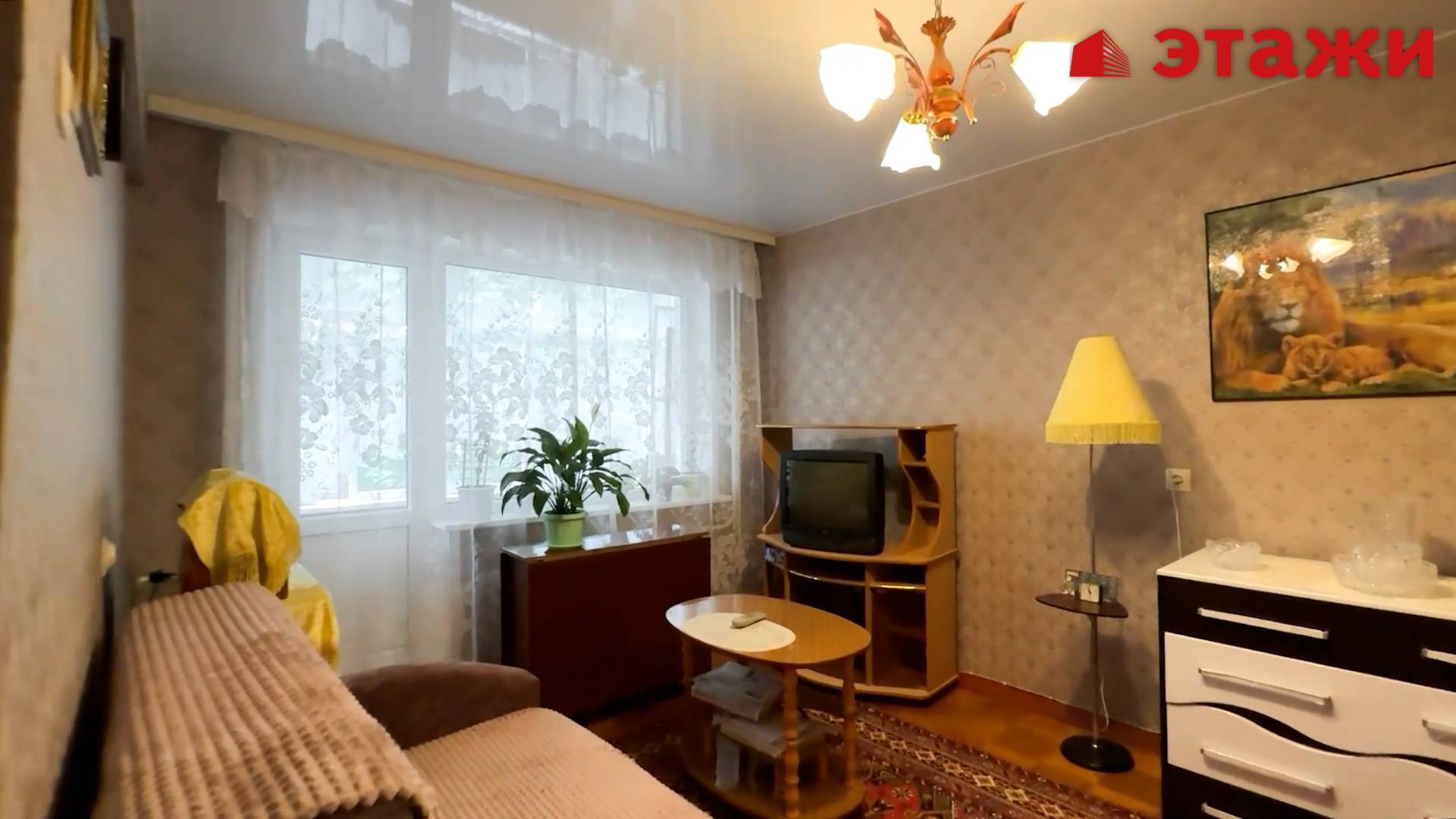 Пушкарева, 66 смотреть онлайн