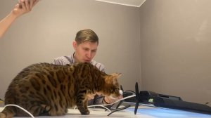Как подключить внешнее устройство к телевизору Hartnes