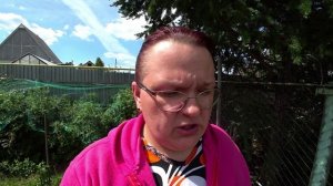 Надёжная защита ягод от птиц