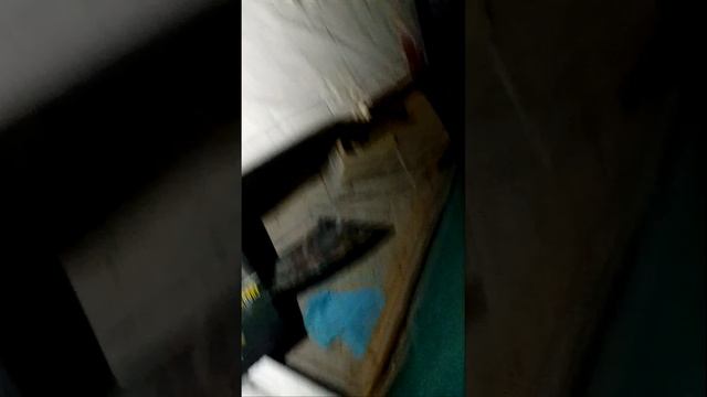 мы гуляем по заброшке