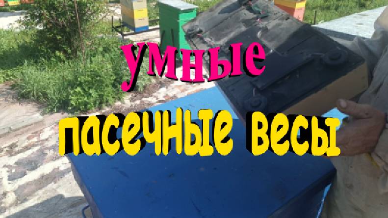 Пасечные весы дешево и функционально смотреть онлайн