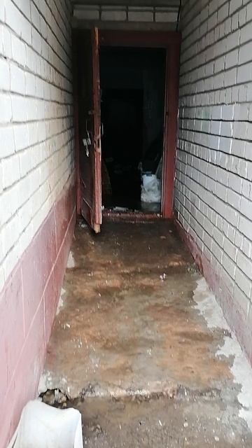 вот это молодец,сбой в матрице. смотреть онлайн