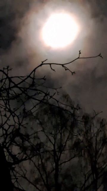 Полнолуние