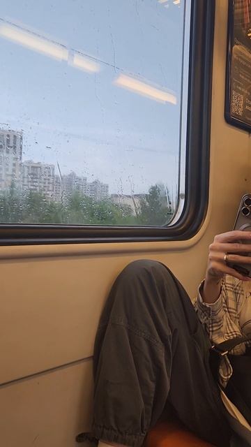 Едем на электричке из Московского зоопарка смотреть онлайн
