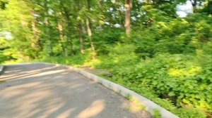 Санаторий МВД Приморье утопает в зелени Обзор территории Июнь 2025