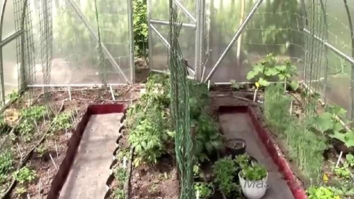 Как защитить теплицу от жары. смотреть онлайн