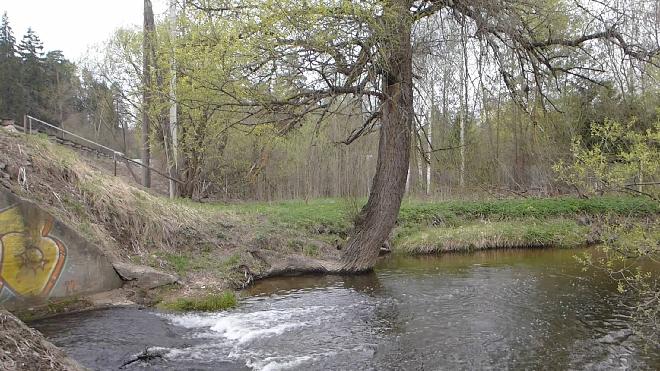 Прогулка у Небольшой Речки в Стерео Звуке