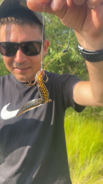 КТО ЛОВИЛ ТАКИХ? смотреть онлайн