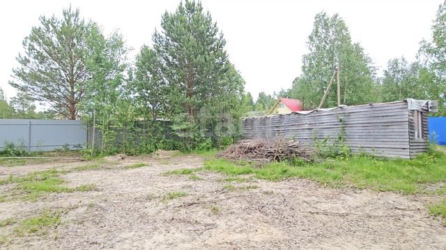 7751365 Возрождение смотреть онлайн