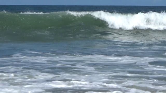 До свидания лето. Сергей Чекалин.