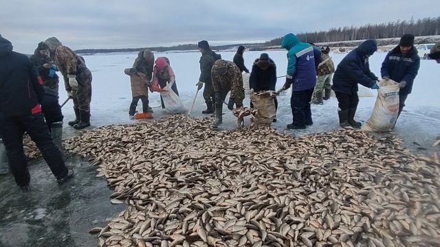 19-06-2025 смотреть онлайн