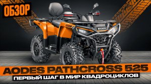 AODES Pathcross 525 ПЕРВЫЙ КВАДРОЦИКЛ