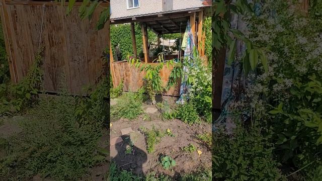 сад смотреть онлайн