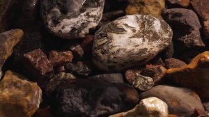 Тест рекламы